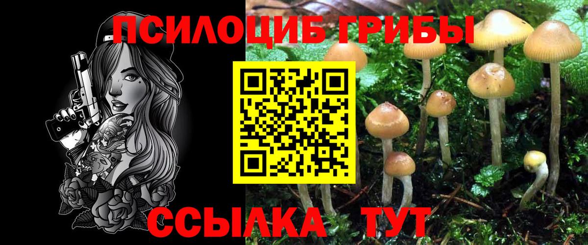 Псилоцибиновые грибы Psilocybe  Псилоцибиновые грибы ЛСД  Вход с VPN  Мыски 
