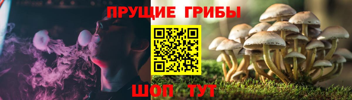 Галлюциногенные грибы Cubensis Мыски